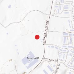 Street map